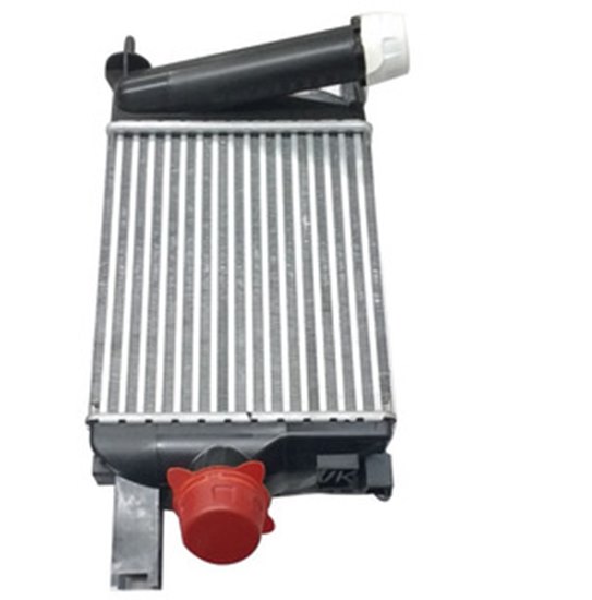 Intercooler Renault Duster Original 144967634r