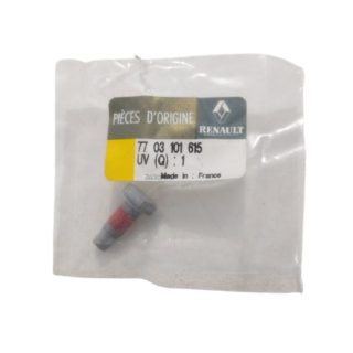 7703101615 parafuso m8 renault kangoo duster clio trafic r19 original