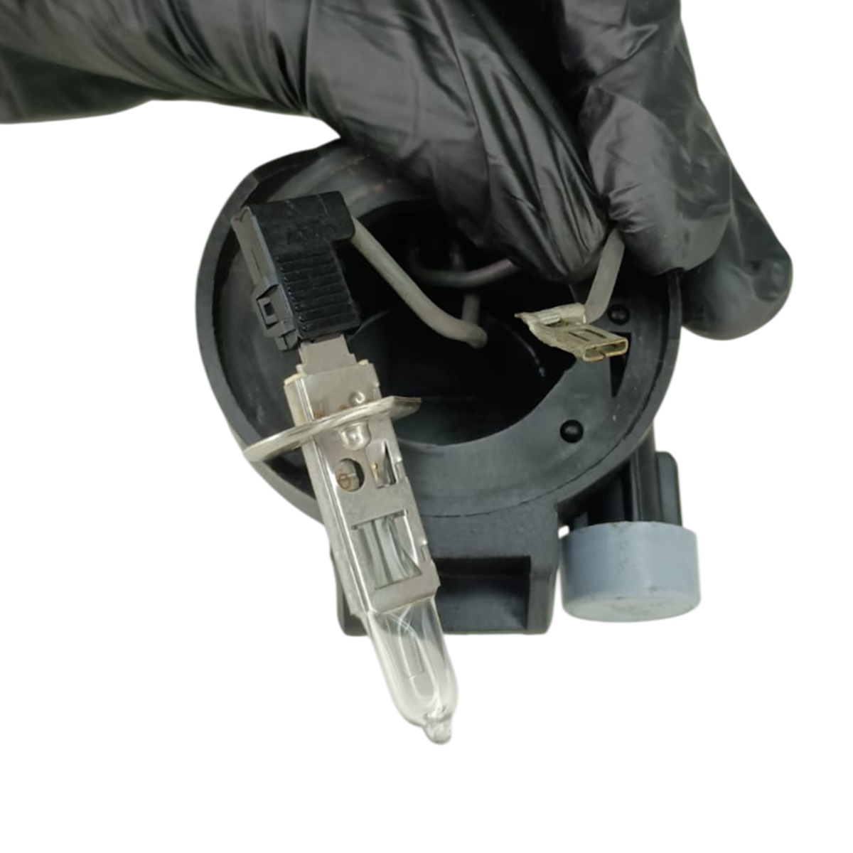 7701045156 - 44 soquete farol de neblina ld renault clio 7701045156